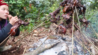 Nướng 25 Con Chuột Rừng Ở Trong Rừng Ăn Chấm Muối Ớt