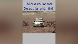 Khi cua có xe mới Xe cua là phải thế hashtag cườikhôngnhặtđượcmồm hài