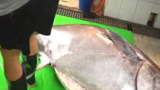 bluefin tuna cutting skills