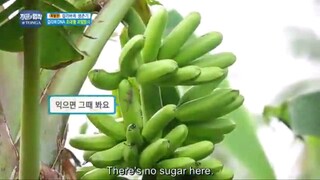 LOTJ EP. 211 Eng Sub #cttro