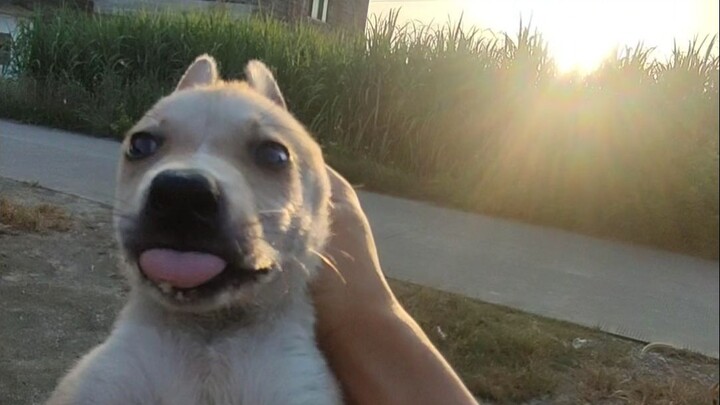 A Day Back in My Hometown After Graduation 1