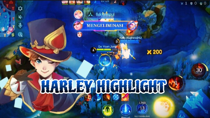 HARLEY HIGHLIGHT