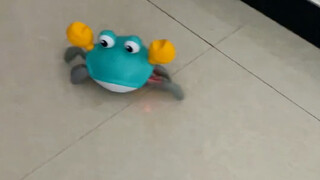 偷偷玩侄子的新玩具哈哈哈，这也太丝滑了吧～