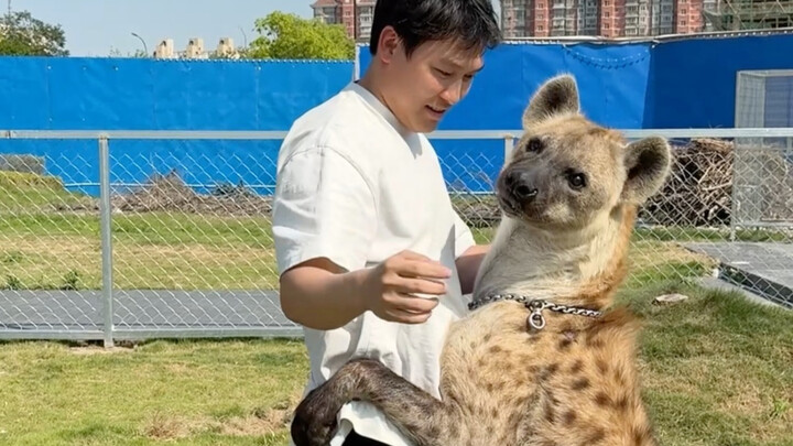 Bộ phim về thế giới động vật đã khiến tôi hơi chủ quan rồi