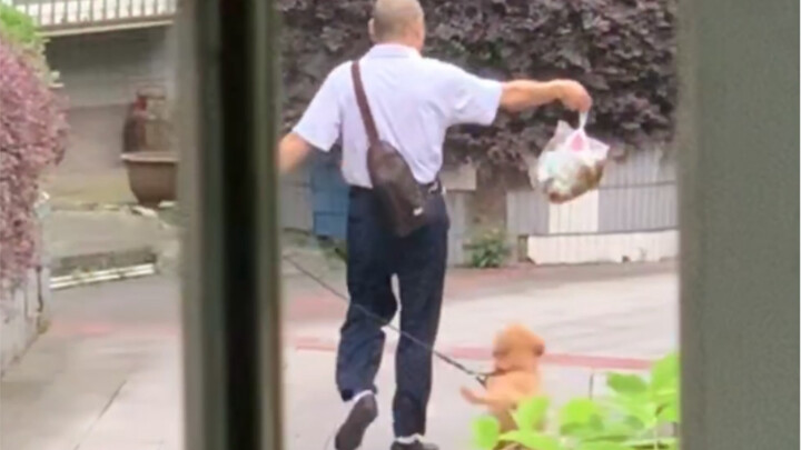 เป็นยังไงเมื่อมีคุณพ่อสุดน่ารักช่วยเลี้ยงหมา?