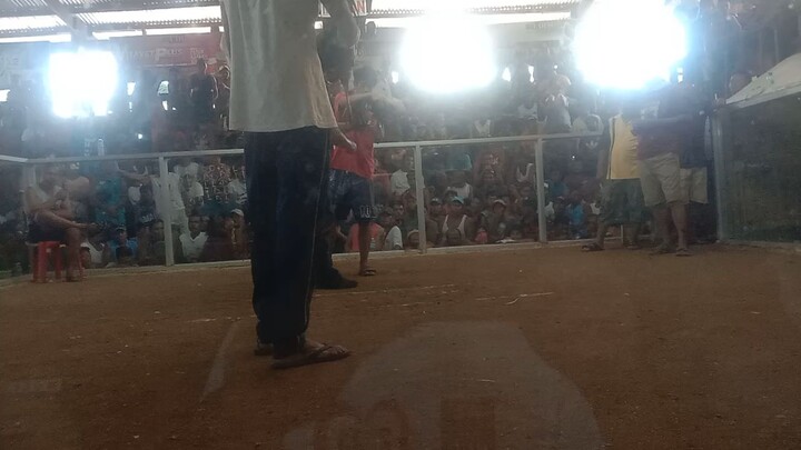 black boston x regular grey. UNSCRATCH