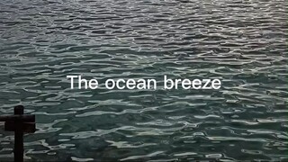 The ocean breeze put my mind at ease