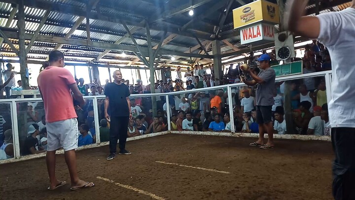4x winner talisay