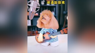 dog chócute chó_cưng