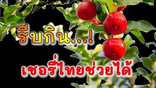 รีบกิน...! เชอรี่ไทย ใครที่มีอาการเหล่านี้ ช่วยได้