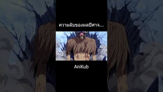 ความลับของผลปีศาจ... | วันพีซ | One Piece