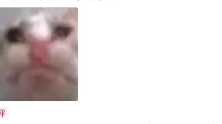 นายกรัฐมนตรี ในจังหวะมึนงงนั้น ท่านคิดอะไรอยู่?