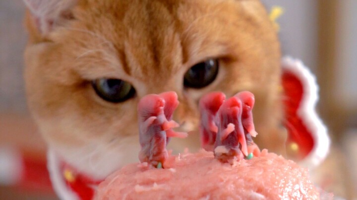 แมวตะปบตึกหนู หนู: จู่ๆ ก็รู้สึกถึงกลิ่นอายความตาย!