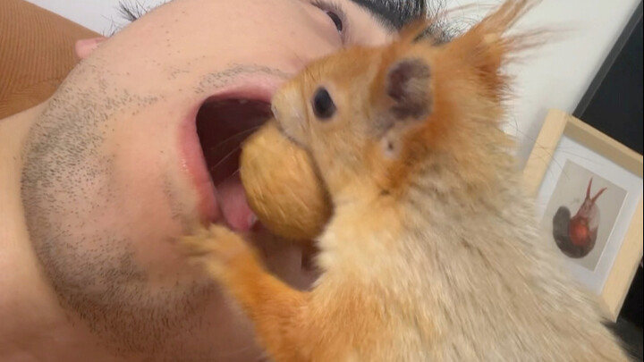 大孝子，精准投喂