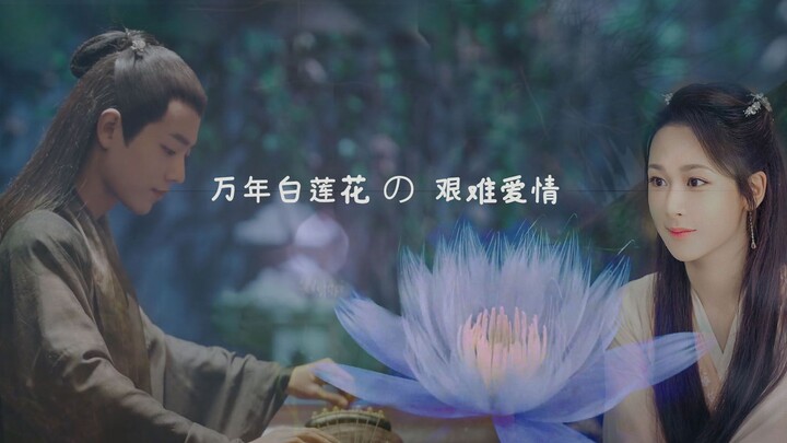 【杨紫|肖战】万年白莲花的艰难爱情（06）