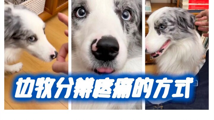 So This Is How Kaka Tells Pain Apart!