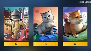 HOLA BUDDY 🧸 NEW COMPANIONS (Kitten’ Shiba, Teddy bear) PUBGM X TEDDY BEAR