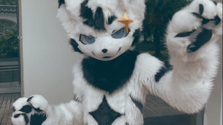 【Pembuatan fursuit】 Setelan lengkap Xun Yue