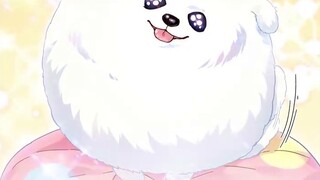 [Meninggalkan lajang setelah menjemput hantu laki-laki] Bayi Wenxi akan menjadi sangat lucu oleh Di 