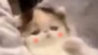 "ปลาจมและห่านล้ม"