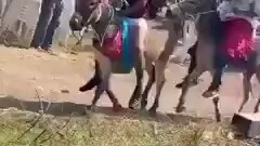 Strong people never complain about their environment.