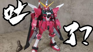 The pilot vomited? MG Infinite Justice Gundam