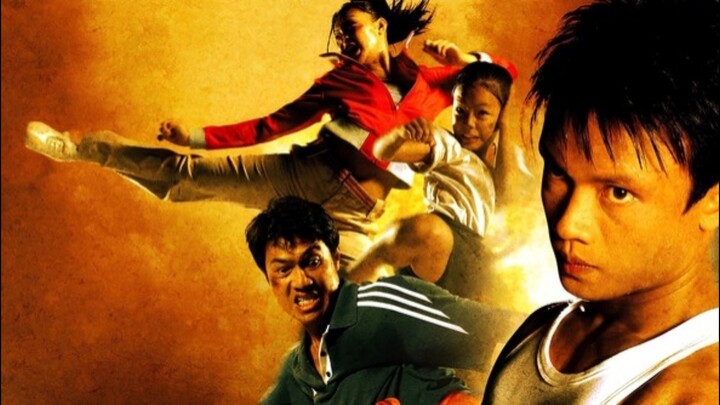 BORN TO FIGHT (2004).Underrated Film.