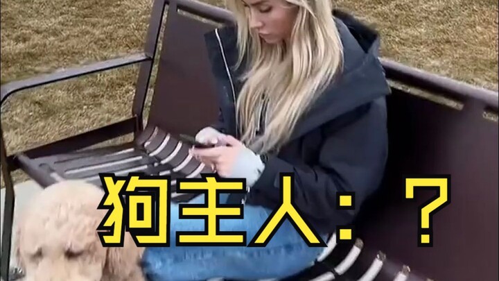 كيف تحصل على معلومات الاتصال بصاحب الكلب؟