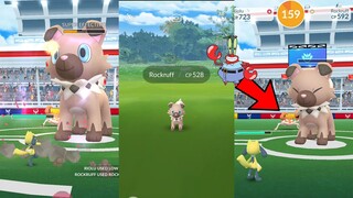 Mr Krabs Kingler Dances While Shiny Riolu fights a  Rockruff Raid