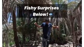 please like, coment and follow