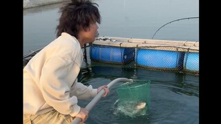 Almost took away the general manager of their fish pond!