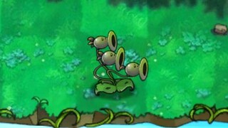 融合植物36：三线与辣椒！