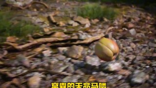 【神秘的小可爱1】视频加载中，速速查收惊喜！