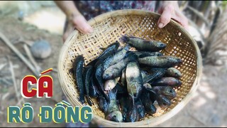 CƠM MIỀN QUÊ #2 - CÁ RÔ ĐỒNG KHO TIÊU | Chuyện Phương Kể