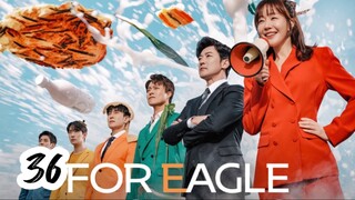 For Eagle Brother Ep 36 Sub Indo
