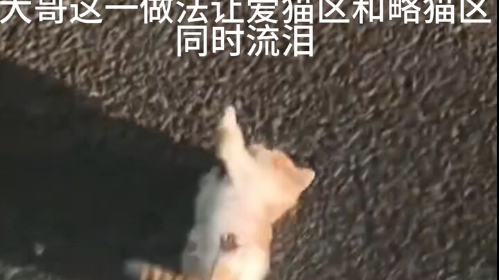 ทำยังไงถึงจะทั้งรักแมวและแอบแกล้งแมวได้ในเวลาเดียวกัน
