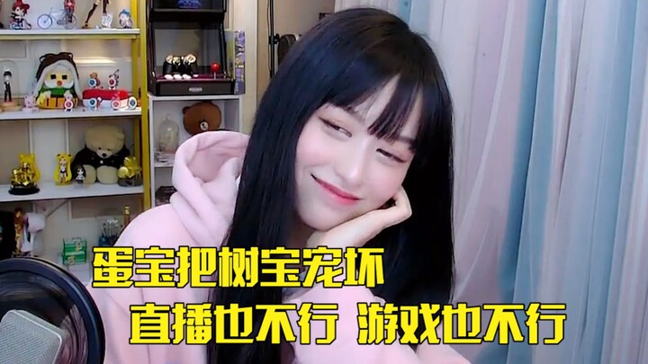 ปกติซู่เป่าถูกตั่นเป่าตามใจจนเคยตัว พอห่างจากตั่นเป่าก็ไม่สามารถไลฟ์สดได้ด้วยตัวเองเลย