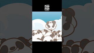 Panda - MOGMOG PLANET Observation Diary | It's Anime #shorts #anime #animals