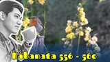 Rhe Pinnacle of Life / Kabanata 556 - 560