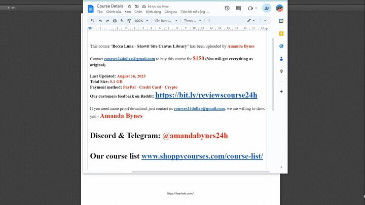 [$150 - Shoppycourses.com] Becca Luna Showit Site Canvas Library