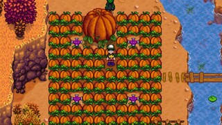 Berburu tumbuhan langka ketika hujan hijau