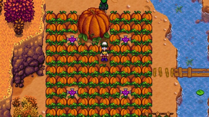 Berburu tumbuhan langka ketika hujan hijau