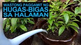 Wastong Paggamit Ng Hugas-Bigas Sa Halaman