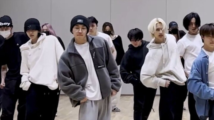 【佑灰】唐吉诃德又名堂吉诃德 | SEVENTEEN DON QUIXOTE 练习室 focus  cut