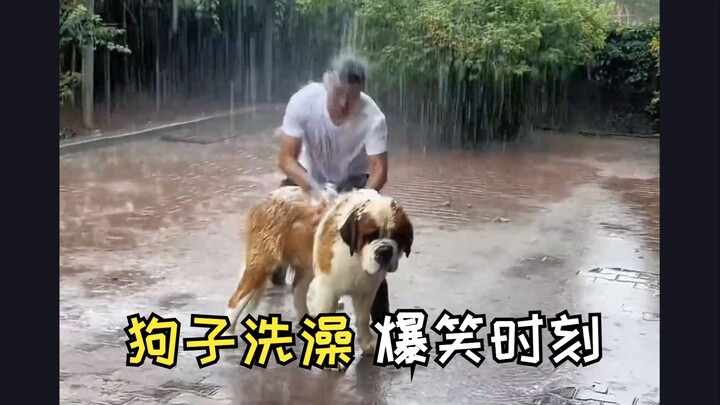 “เดี๋ยวนี้การอาบน้ำให้เจ้าหมาแข่งกันหนักขนาดนี้แล้วเหรอ?!”