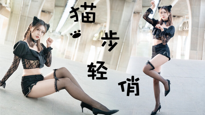【竖屏】AOA-猫步轻悄   摊牌了，是超级双下巴大胖猫