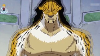 Làm sao để crack được năng lực của Im? Nhiệm vụ White Nika Dawn! Chopper hiểu được hướng tiến hóa củ