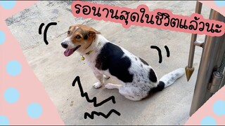 โลกของแสนดี ตอน เกิดมาไม่เคยรอนานขนาดนี้