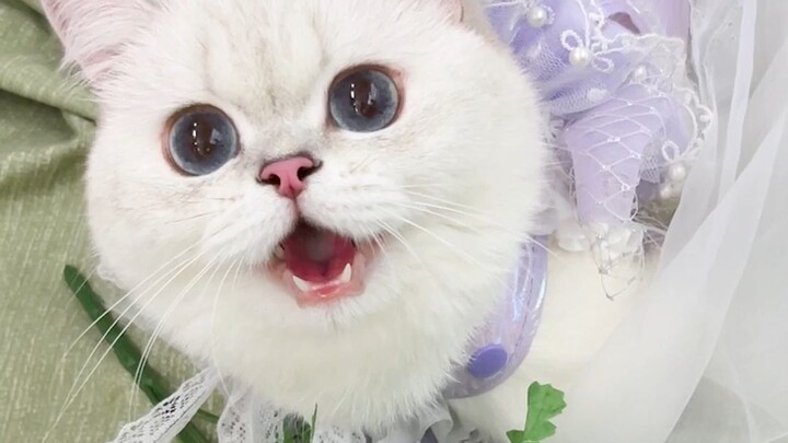 Stay for two seconds!