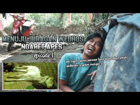 Menuju Juragan Wedhos : Ngarit Apes (Eps1)